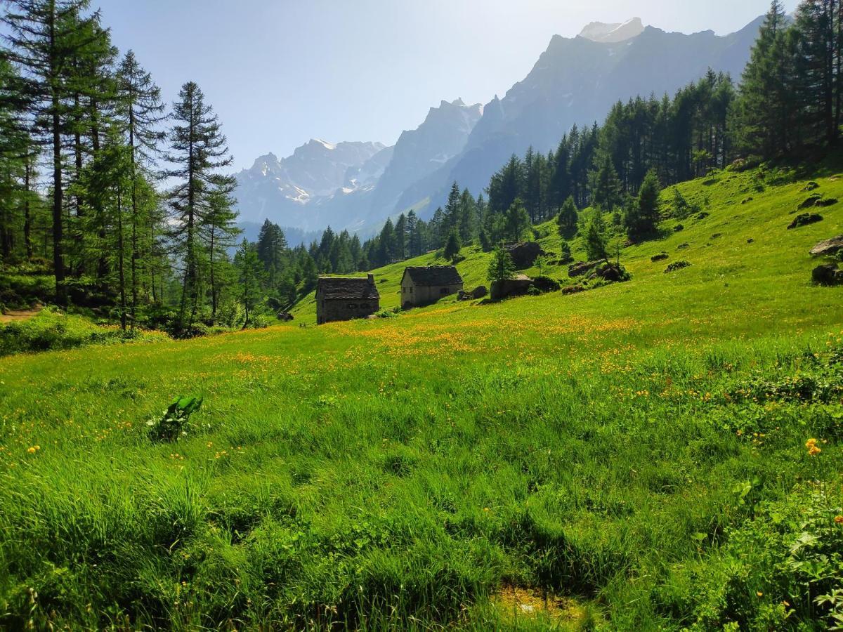 B&B Chalet Il Picchio Varzo Eksteriør bilde